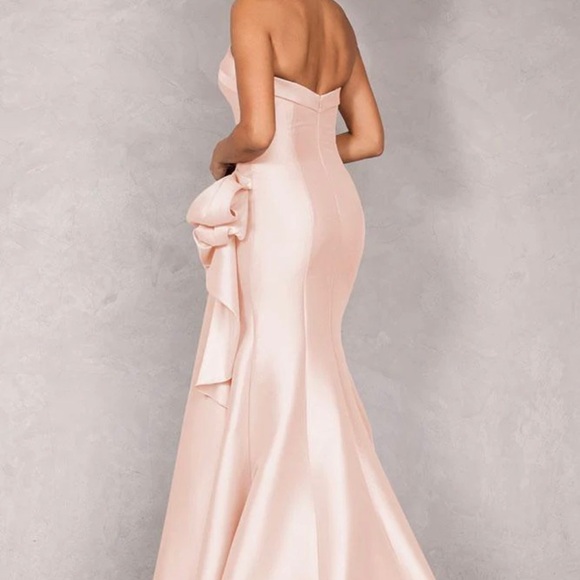 Terani Couture Strapless Blush Gown - Picture 4 of 4